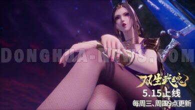 Donghua News Twin Martial Spirits 2025